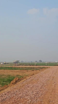 Residential Plot for Sale in Sector 1, Jhajjar (150 Sq. Yards)