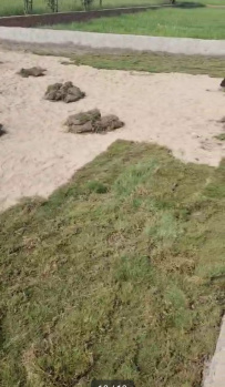 Property for sale in Goverdhan Road, Mathura