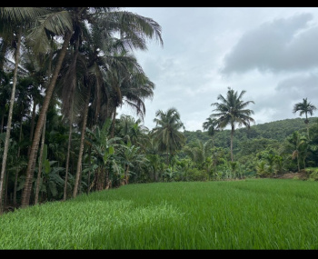 2 BHK Farm House for Sale in Kudal, Sindhudurg (1 Acre)