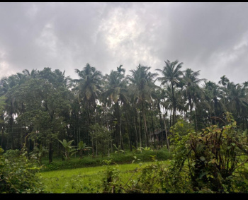 Property for sale in Kudal, Sindhudurg