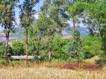 Property for sale in Trimbakeshwar, Nashik