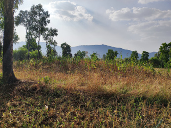 Property for sale in Trimbakeshwar, Nashik