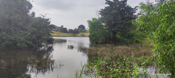 Property for sale in Trimbakeshwar, Nashik