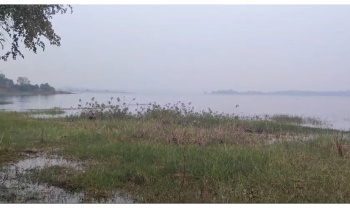 Farmhouse/Resort Land sell at mundhegaon Darna Dam water touch & 12mtr Govt road approach