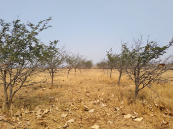 Property for sale in Chandwad, Nashik