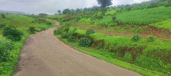 14 Acre Land sale in Mokhoda Newly-arrived Trimbakeshwar Highway