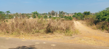Agricultural/Farm Land for Sale in Manneguda, Hyderabad (7 Acre)