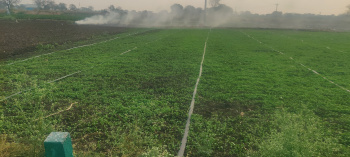 Agricultural/Farm Land for Sale in Chevella Mandla, Hyderabad (2 Acre)