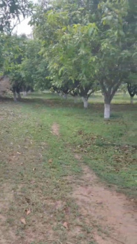 6 Acre Agricultural/Farm Land for Sale in Pargi, Vikarabad