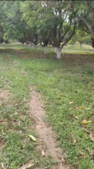 Property for sale in Pargi, Vikarabad