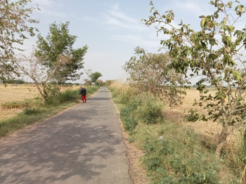 Residential Plot for Sale in Khair, Aligarh (100 Sq. Yards)