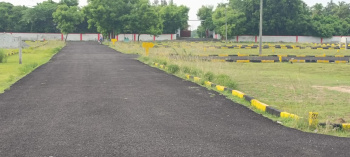 Residential Plot for Sale in Khair, Aligarh (100 Sq. Yards)