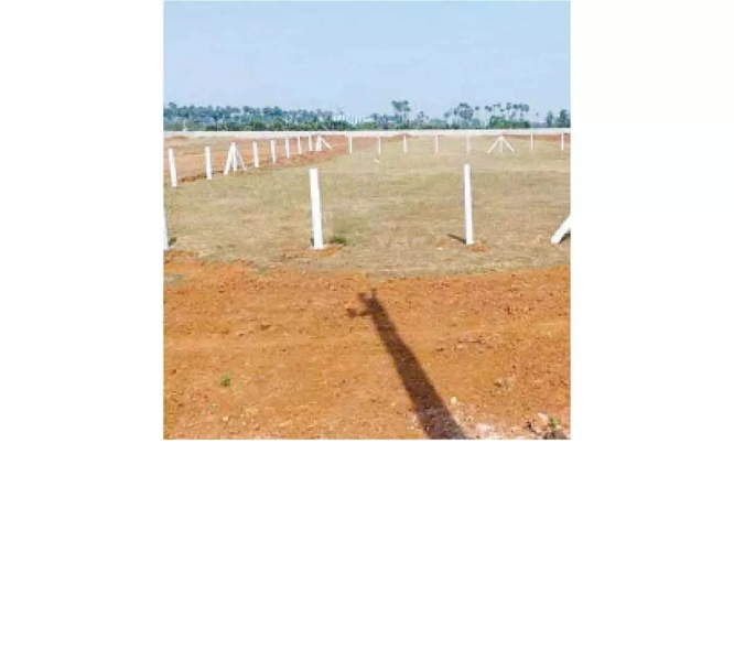 Residential Plot For Sale In Bharawas, Rewari (100 Sq. Yards)