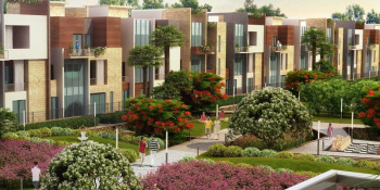 Builder Floor for Sale in Sector 67A, Gurgaon (350 Sq. Yards)