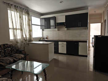 Flats & Apartments for Rent in Sector 69, Gurgaon (750 Sq.ft.)