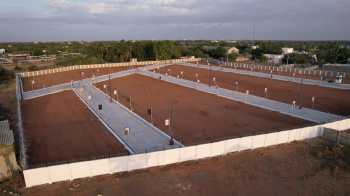 Plot for sale Near Panjappur Bus stand