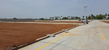 Residential Plot for Sale in Mathur, Tiruchirappalli (1200 Sq.ft.)