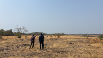 118465 Sq. Meter Residential Plot for Sale in Quepem, South Goa, Goa
