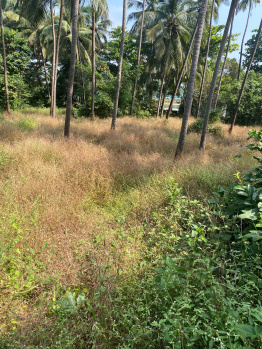 Agricultural/Farm Land for Sale in Divar Island, North Goa, Goa (3600 Sq. Meter)