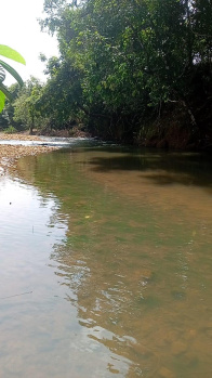 Agricultural/Farm Land for Sale in Collem, Goa (43800 Sq. Meter)