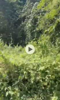 Property for sale in Old Goa