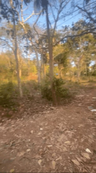 Commercial Lands /Inst. Land for Sale in Assagaon, North Goa, Goa (3550 Sq. Meter)