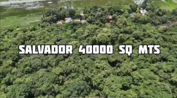 Commercial Lands /Inst. Land for Sale in Salvador Do Mundo, Bardez, Goa (40000 Sq. Meter)