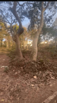 Commercial Lands /Inst. Land for Sale in Corgao, Pernem, Goa (168000 Sq. Meter)