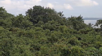 Commercial Lands /Inst. Land for Sale in Dona Paula, Goa (1450 Sq.ft.)