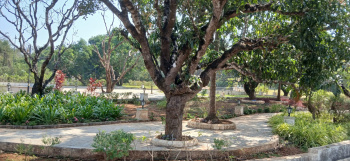 Residential Plot for Sale in Bainguinim, North Goa, Goa (455 Sq. Meter)