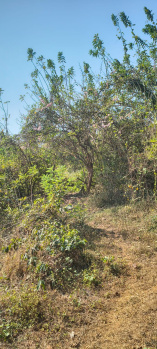 Agricultural/Farm Land for Sale in Bambolim, North Goa, Goa (525 Sq. Meter)