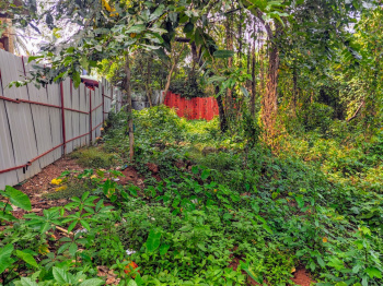 Property for sale in Mapusa, Goa
