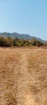 Agricultural/Farm Land for Sale in Shiroda, Goa (140000 Sq. Meter)