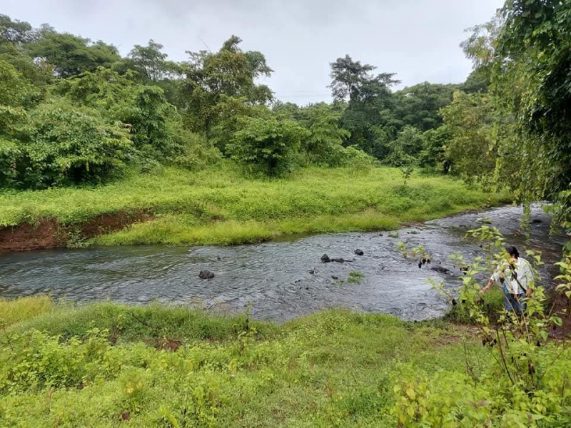 Agricultural/Farm Land for Sale in Canacona, Goa (47900 Sq. Meter)