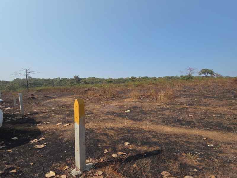 Agricultural/Farm Land for Sale in Dodamarg, North Goa, Goa (8000 Sq. Meter)
