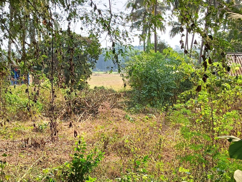 Residential Plot for Sale in Moira, North Goa, Goa (810 Sq. Meter)