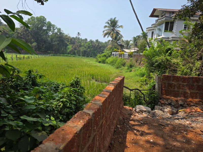 Residential Plot for Sale in Colva, South Goa, Goa (1025 Sq. Meter)