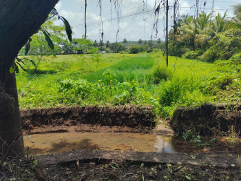 Residential Plot for Sale in Porvorim, Goa (1740 Sq. Meter)