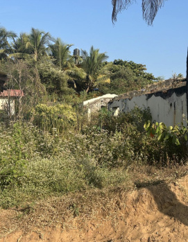 Residential Plot for Sale in Baga, Goa (1575 Sq. Meter)