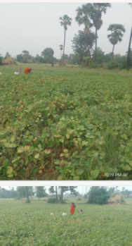 Residential Plot for Sale in Dalmianagar, Rohtas (2 Katha)