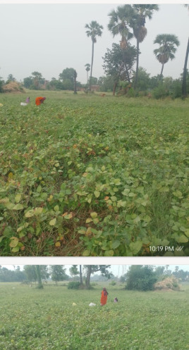 Residential Plot For Sale In Dalmianagar, Rohtas (2 Katha)