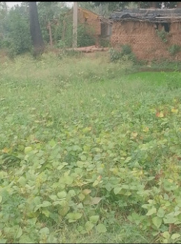 Property for sale in Dalmianagar, Rohtas