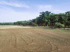 Plot for sale in sector 27 panchkula Haryana
