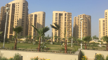 4 BHK Flats & Apartments for Sale in Sector 20, Panchkula (1850 Sq.ft.)