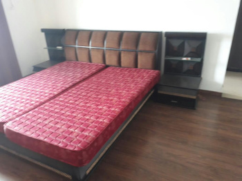 3 BHK Flats & Apartments for Rent in Sector 20, Panchkula (1850 Sq.ft.)