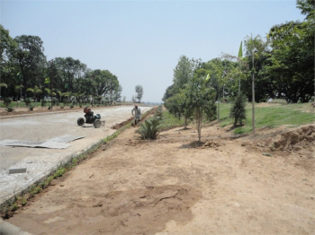 5175 Sq.ft. Residential Plot for Sale in Sector 21, Panchkula