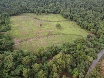 Agricultural/Farm Land for Sale in Valpoi, Goa (5000 Sq. Meter)