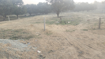 Commercial plot near Madhubani
