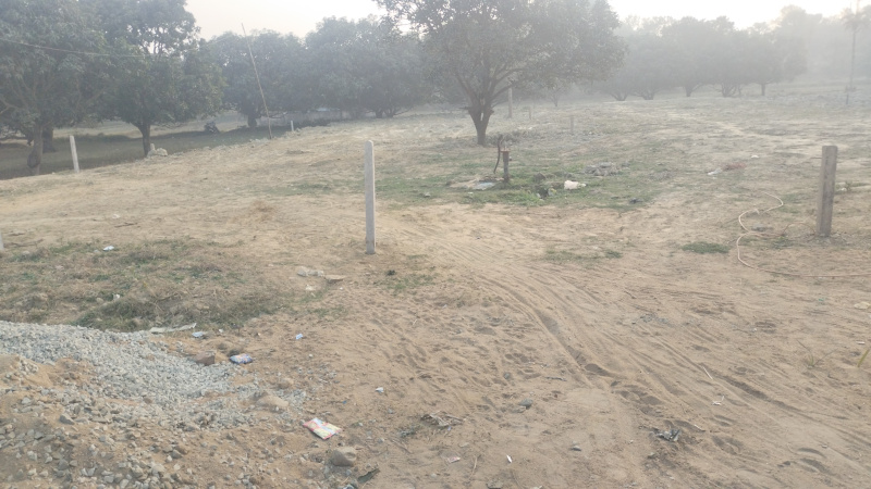 Commercial plot near Madhubani