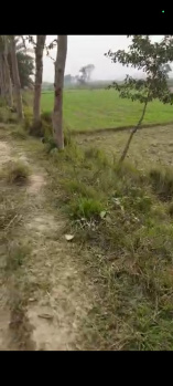 Property for sale in Jagatpur, Madhubani